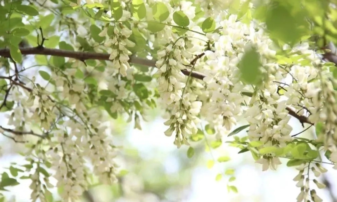 1682320030107949.png 微信截圖_20230424150632.png