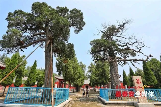 1706495224242268.jpg 640 (47).jpg